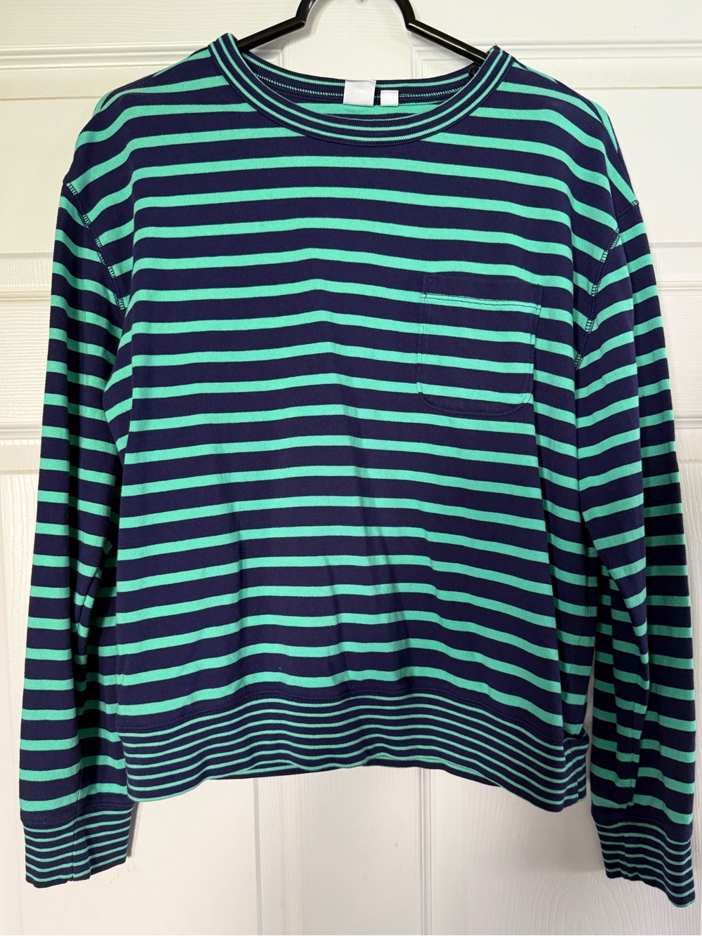 GAP Navy and Teal Striped Long Sleeve Tee